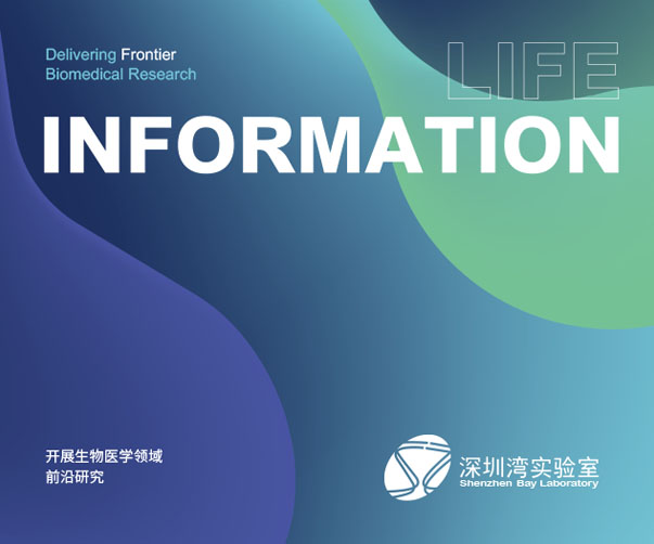 解鎖重慶VI設計：當“渝派市井”碰撞“土潮”風